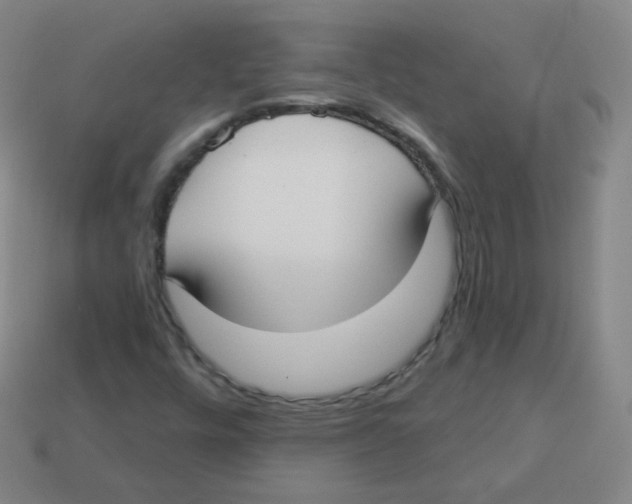 X0000113901448200910221428