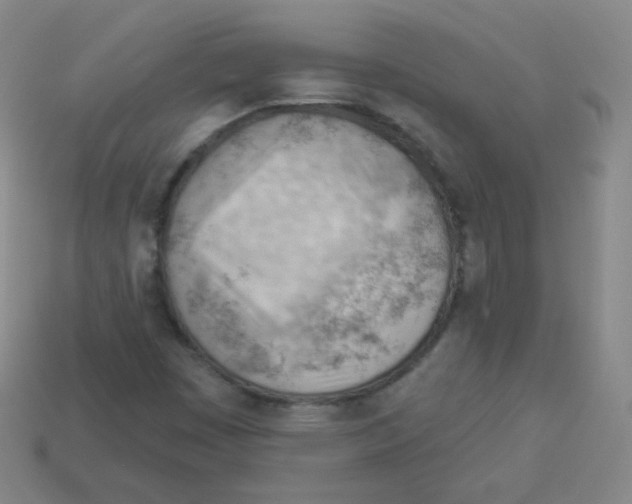 X0000113901449200910221428