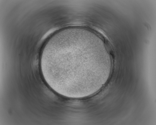 X0000113901450200910221428