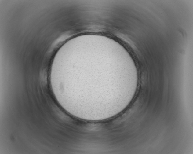 X0000113901451200910221428