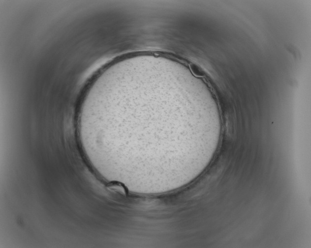 X0000113901452200910221428