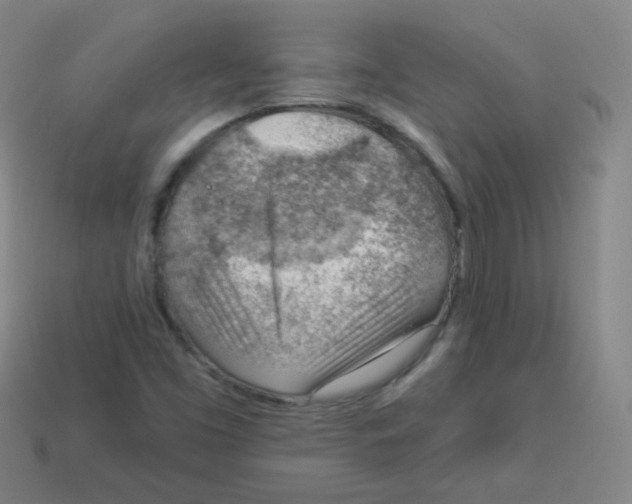 X0000113901453200910221428