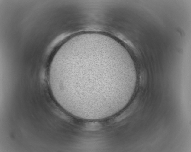 X0000113901454200910221428