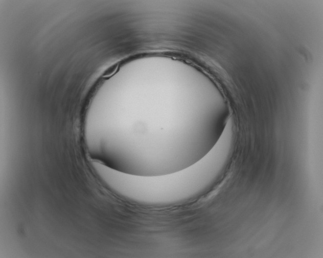 X0000113901457200910221428