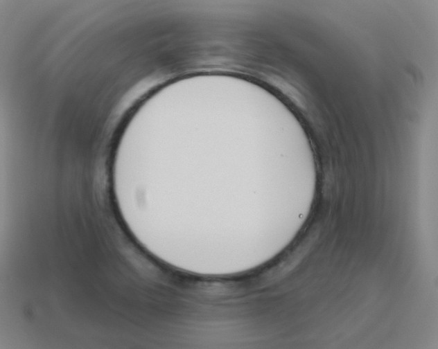 X0000113901458200910221428