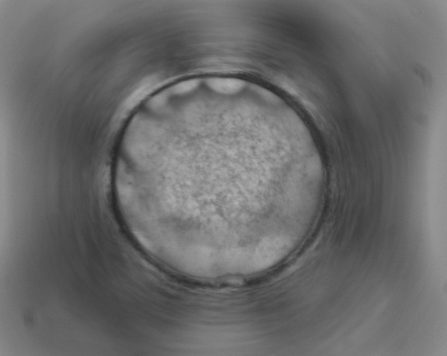 X0000113901459200910221428