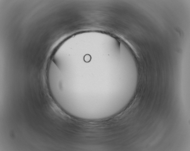 X0000113901460200910221428