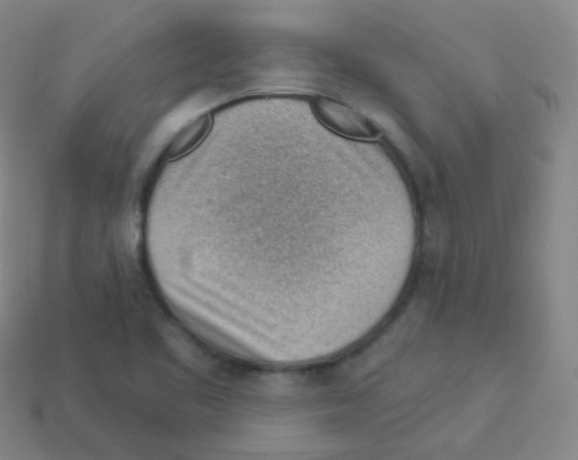 X0000113901461200910221428