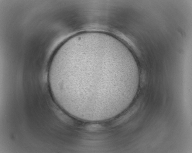 X0000113901462200910221428