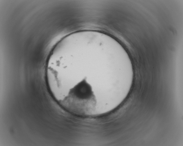 X0000113901463200910221428