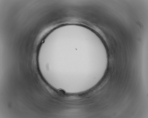 X0000113901464200910221428