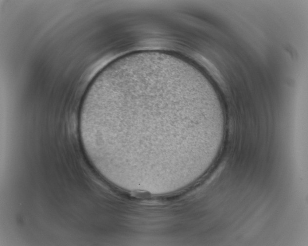 X0000113901465200910221428