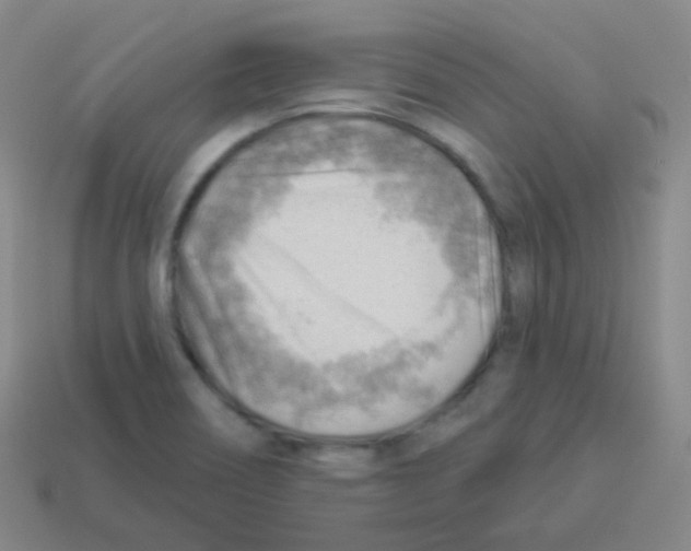 X0000113901466200910221428