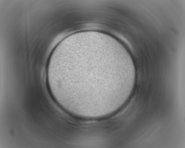 X0000113901467200910221428