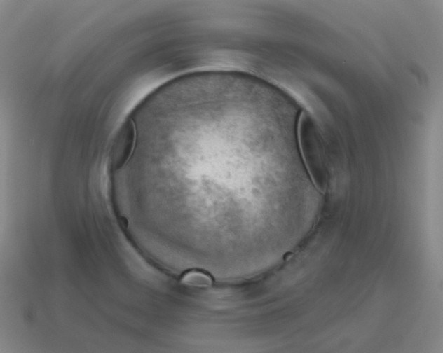 X0000113901468200910221428