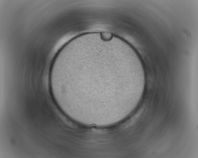 X0000113901469200910221428