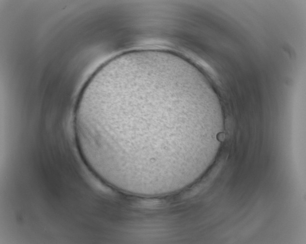 X0000113901470200910221428