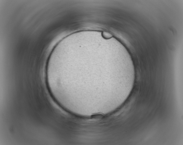 X0000113901471200910221428