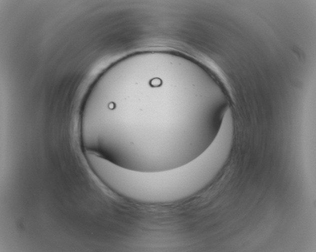 X0000113901472200910221428