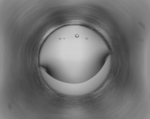 X0000113901473200910221428