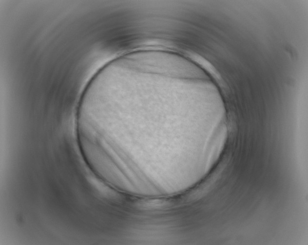 X0000113901474200910221428