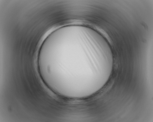 X0000113901475200910221428