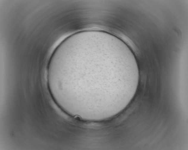 X0000113901476200910221428