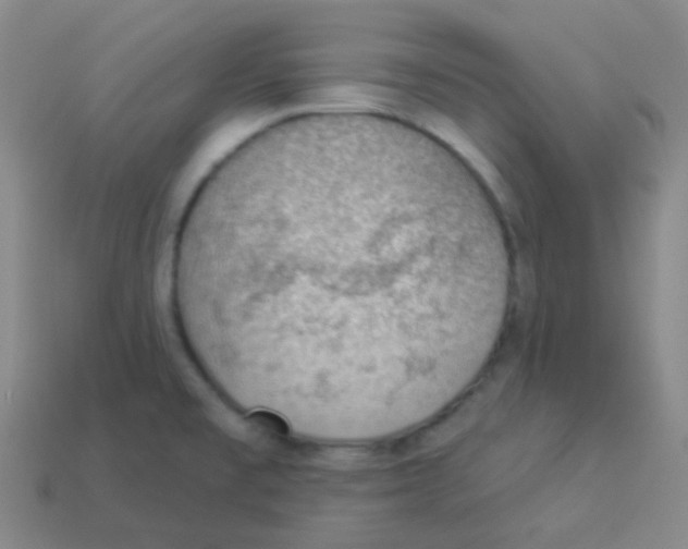 X0000113901477200910221428