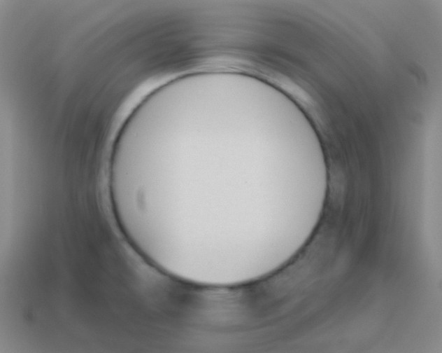 X0000113901478200910221428