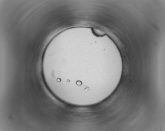 X0000113901479200910221428