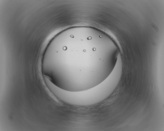 X0000113901480200910221428