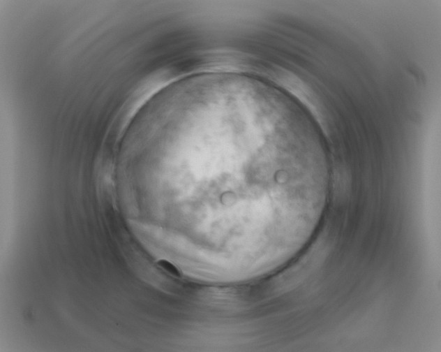 X0000113901481200910221428