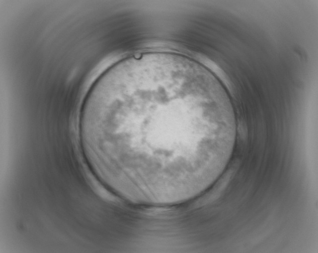 X0000113901482200910221427