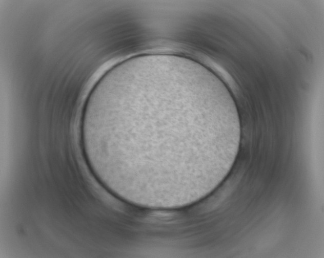 X0000113901483200910221427