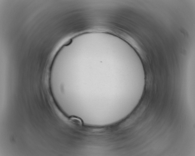 X0000113901484200910221427