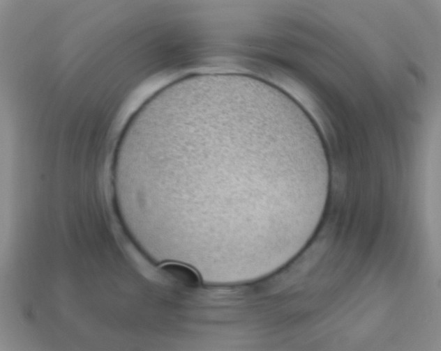 X0000113901485200910221427