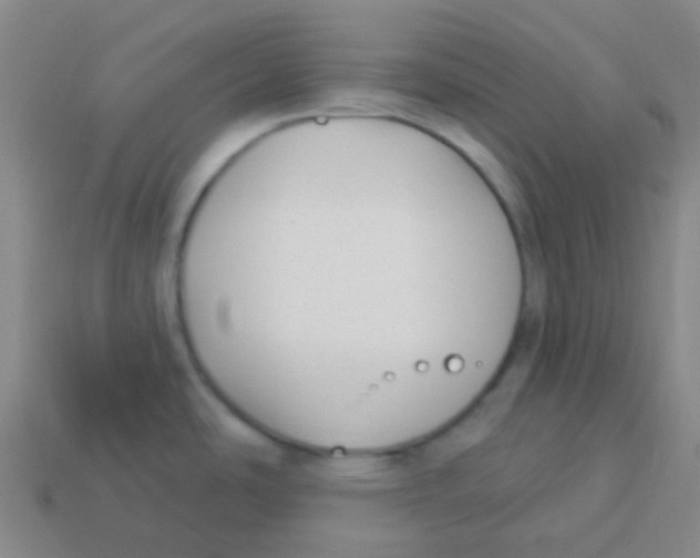 X0000113901486200910221427