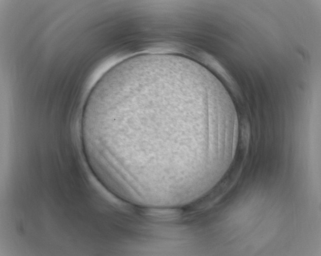 X0000113901487200910221427