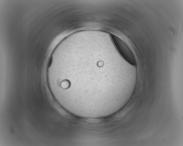 X0000113901488200910221427