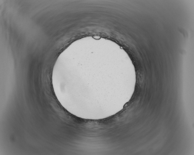 X0000113901489200910221427