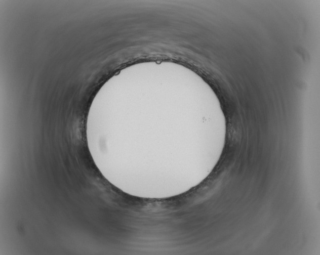 X0000113901490200910221427