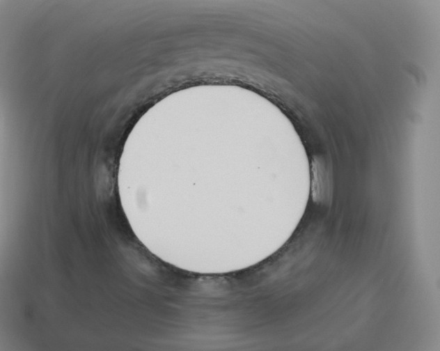 X0000113901491200910221427