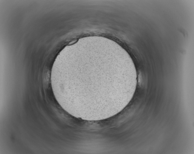 X0000113901492200910221427