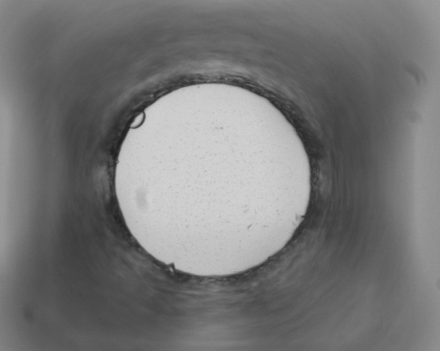 X0000113901493200910221427