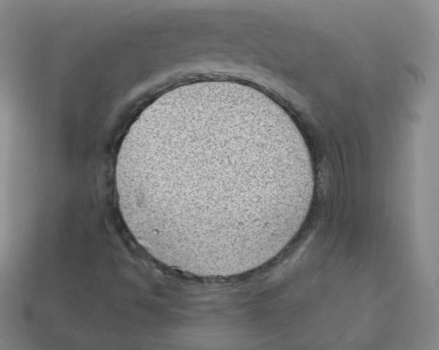 X0000113901494200910221427