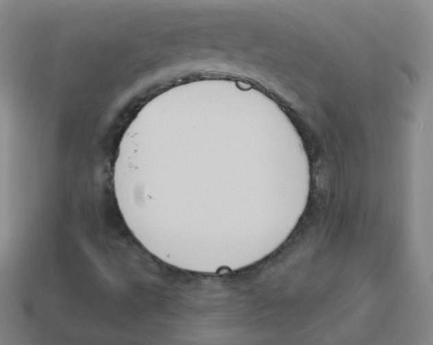 X0000113901495200910221427