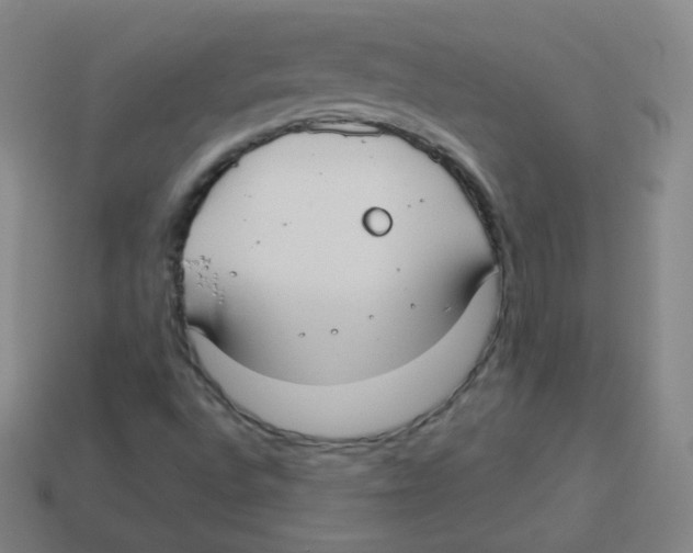 X0000113901496200910221427