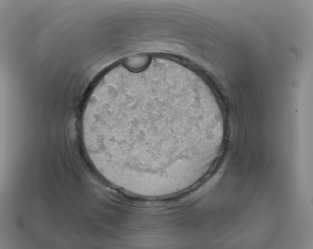 X0000113901497200910221427