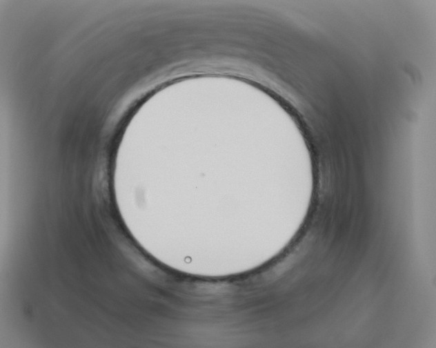 X0000113901498200910221427