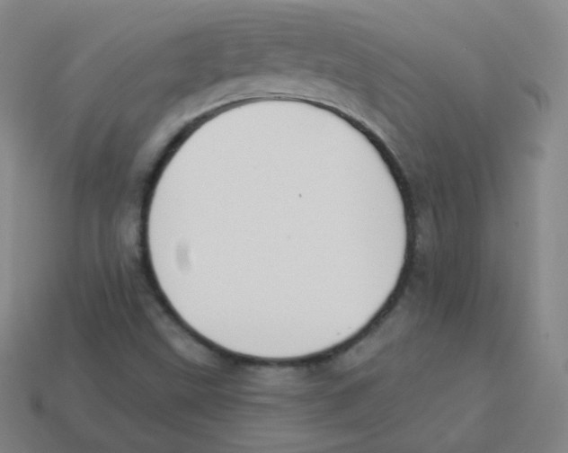 X0000113901499200910221427